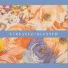 Stressed/Blessed (Explicit) - Sam Be Yourself