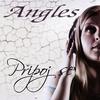 Cesta - ANGLES