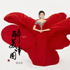 醉美中国 (伴奏) - 陈若玫