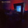 Mexican Radio - Wall of Voodoo