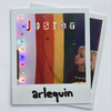 Jester - Arlequin