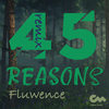 45 Reasons (Remix) - Fluwence