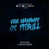 Vem Mamando Os Pitbull(feat. MC Saci) (Explicit) - DJ VINICIN DO CONCÓRDIA&MC Saci