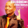 Praise the Lord - Malibongwe