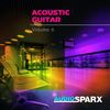 Peaceful Acoustic Guitar Contemplation - Stephan Lindsjo