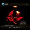 Self Control (Robert R. Hardy Remix) - David Podhel