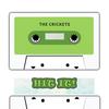 More Than I Can Say - The Crickets