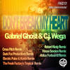Don't Break My Heart (Abitus Fortissima Corda Remix) - Gabriel Ghost&C.j. Wega&Abitus Fortissima Corda