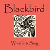 Lullin' the Littlun' - Blackbird