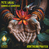 Nothern Prayer (The Directions Mix) - Pete Salaz&Gabrielle Schofield&2023 Lisa Grayshield