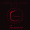 Restart (Original Mix) - Mr. Guelo