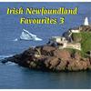 Roving Newfoundlander - Jack Smith