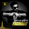 Mad Mad World - Shaggy&Sizzla Kalonji&Collie Buddz