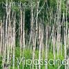 No. 3. Into all the Valleys Evening Journeys - Numinous