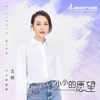小小的愿望 - 王鸥