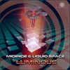 Endgame (Midiride and Liquid Space Remix) - Inner State&Midiride&Liquid Space