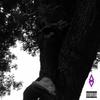 Attempted Robbery (Explicit) - Crazo