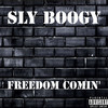 Freedom Comin' (Explicit) - Sly Boogy