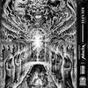 Blunder - MARAUDA
