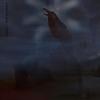 it won't be long, i promise (Explicit) - midwaygrey