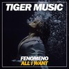All I Want (Dub Mix) - Fenómeno