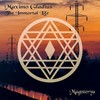 The Immortal Life - Maximo Gladius