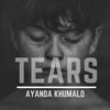 We Were Made - Ayanda Khumalo&Cw Allen