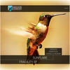 Fragility (Omar Essa Remix) - Sunflare&Omar Essa