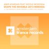 Shape The Invisible (The Madison Remix) - Amir Afargan&Nicole McKenna