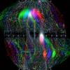 THE OWLS FREQUENCY ON MARZZ - Tujarzz