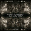A Surge of Anxiety (Daraspa Remix) - Max Cue&William Forest&Daraspa