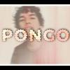 Pongo - Dracko Way