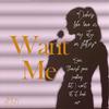 Want Me (Explicit) - Amun