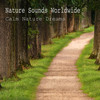 Waves on the Rocks - Nature Sounds Worldwide