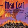 I'd Do Anything For Love (But I Won't Do That) - Meat Loaf