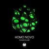 Plagioclase - Homo Novo