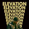 Elevation (Explicit) - King Miller