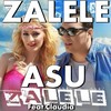 Zalele ( Feat. Claudia ) - Asu&Claudia