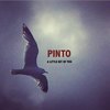 A Little Bit of You - Pinto