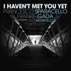 I Haven't Met You Yet (Original Mix) - Francesco Sparacello&FRANKIE GADA&Sam Merrifield