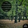 Colorfull Forest (Original Mix) - Alidiana Silverkin