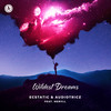 Wildest Dreams - Ecstatic&Audiotricz&Meryll