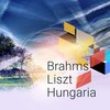 21 Hungarian Dances, WoO 1: No. 1, Allegro Molto in G Minor - Orchestra New Philharmony Saint Petersburg&Alexander Titov