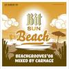 Electronic Minimal Beachgrooves Mix - Mixed by Carnage Part 2 - Carnage