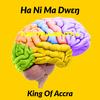 Ha Ni Ma Dwen (Instrumental) - King of Accra