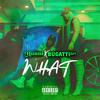 What (feat. Bugatti203) (Explicit) - Hunni Ellis&Bugatti203