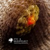 Matching Elemens - Etic&MushProject