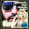 Fire (Dub Mix) - Victoria Gydov&Hibernate