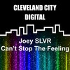 Can't Stop the Feeling - Joey SLVR