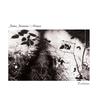 Descending Arc - James Johnson&Aperus